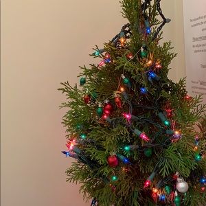 Meet your Posher, Shaheen